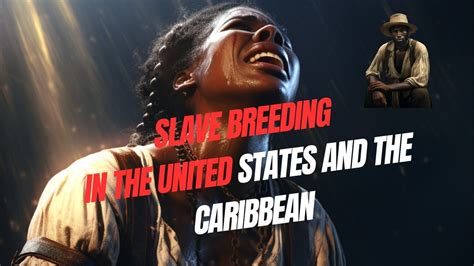 Slave breeding in the United States